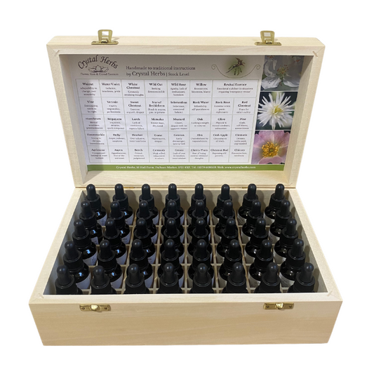 Complete Set English Flower Essences