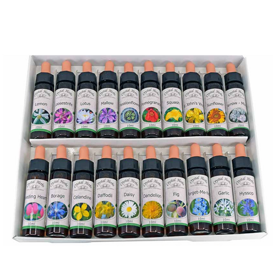 Single Flower Essences