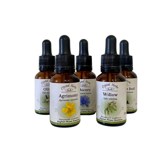 Traditional English Flower Essences